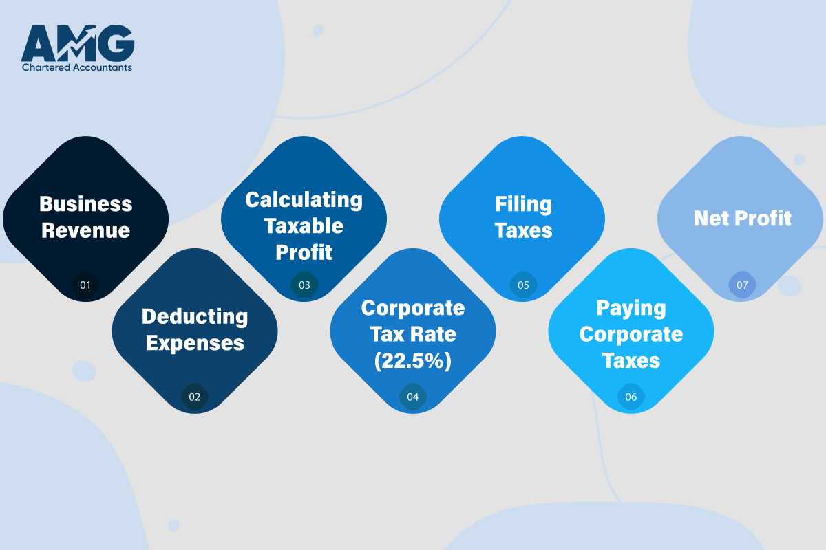 Best Accounting Practices for Small Businesses in Egypt