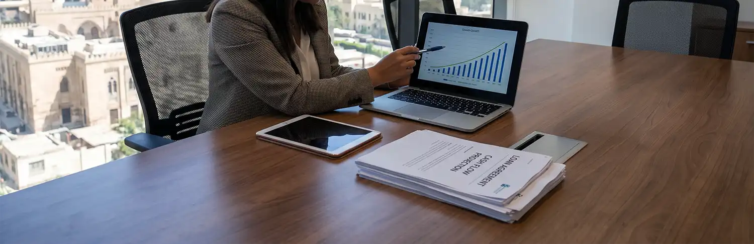 Business Loans in Egypt: SME, Startup & MSME Options