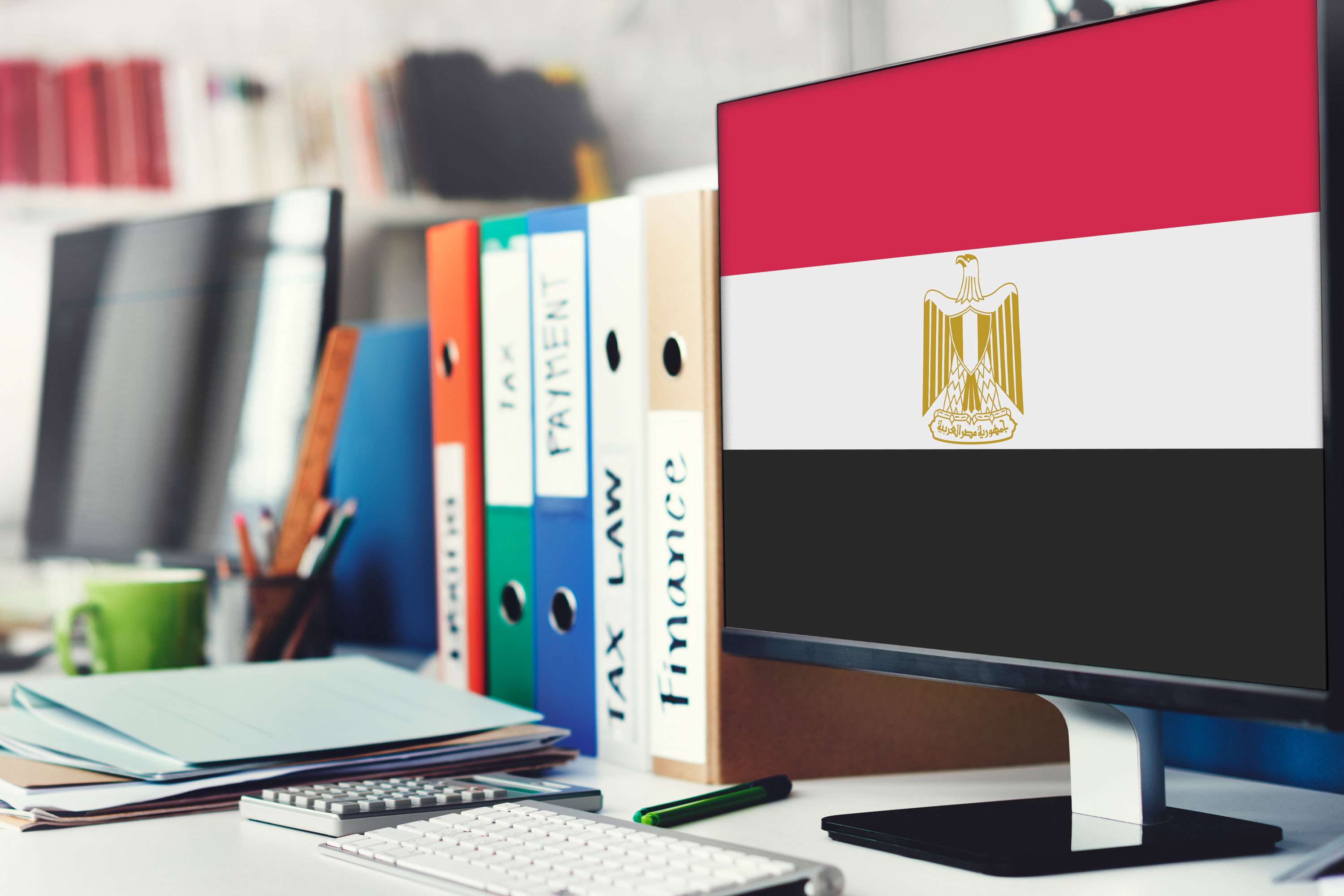 Payroll Compliance: Staying Aligned with Egyptian Labor Laws